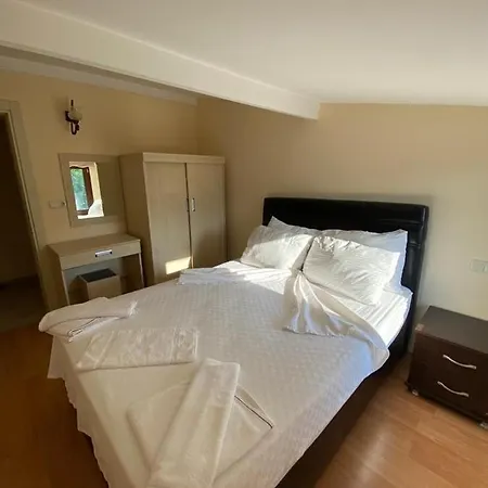 Tulip Hotel *